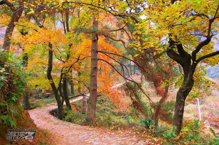 【古道传奇】11-12月,秋风梯田,醉人红叶,黄南古道行(今年早秋,此行有