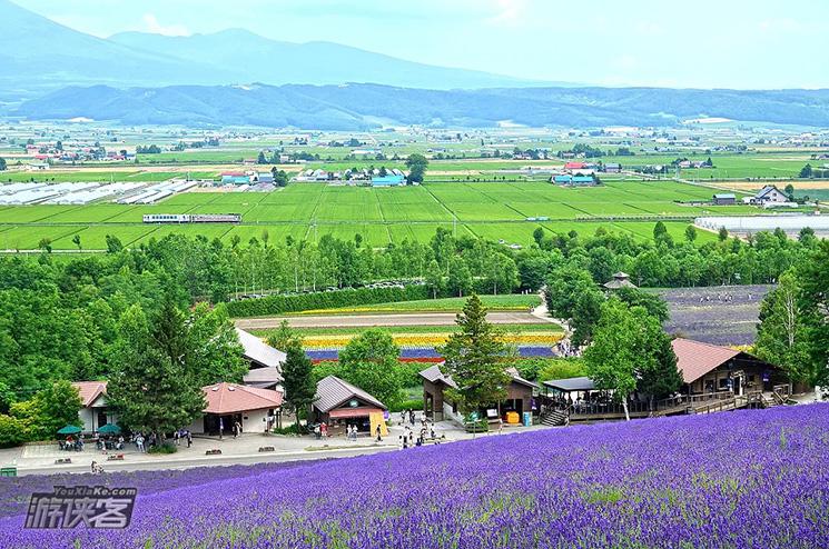 【北海道花季】函馆百万夜景-五陵郭五角状樱