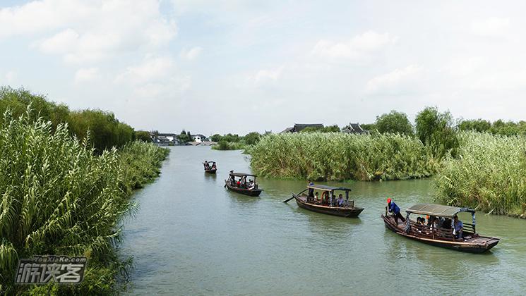 【肥美阳澄湖】10-11月,沙家浜芦苇迷宫,阳澄湖金秋蟹