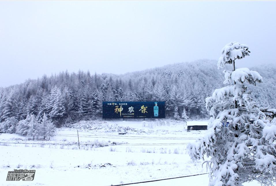 【神农架国际滑雪】1-2月,当神农架银装素裹时,我将在雪场上华丽亮相(每期确定成行)