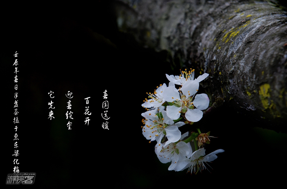 【特惠79元 · 香雪梁化】今年最后一期，花期正好！1.11 周六 即将成行：遥知不是雪，唯有暗香来，约上三五好友去梁化梅园赏梅花，周末休闲一日游
