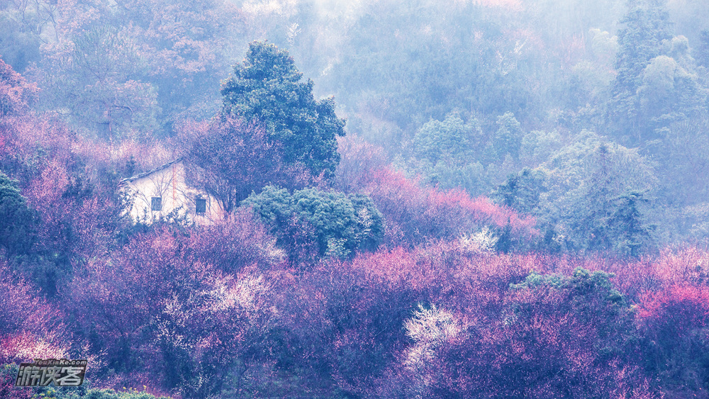 【踏雪寻梅】2.10-12/2.17-19 走进卖花渔村,探访徽州渔人,许村闹元宵,用镜头重现百年牌坊荣光 3日人文、风光摄影创作团