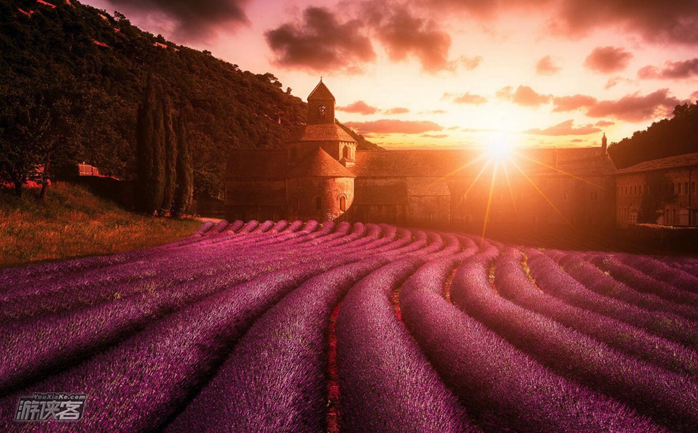 【浓情法意】2017南法熏衣草紫色花海,地中海