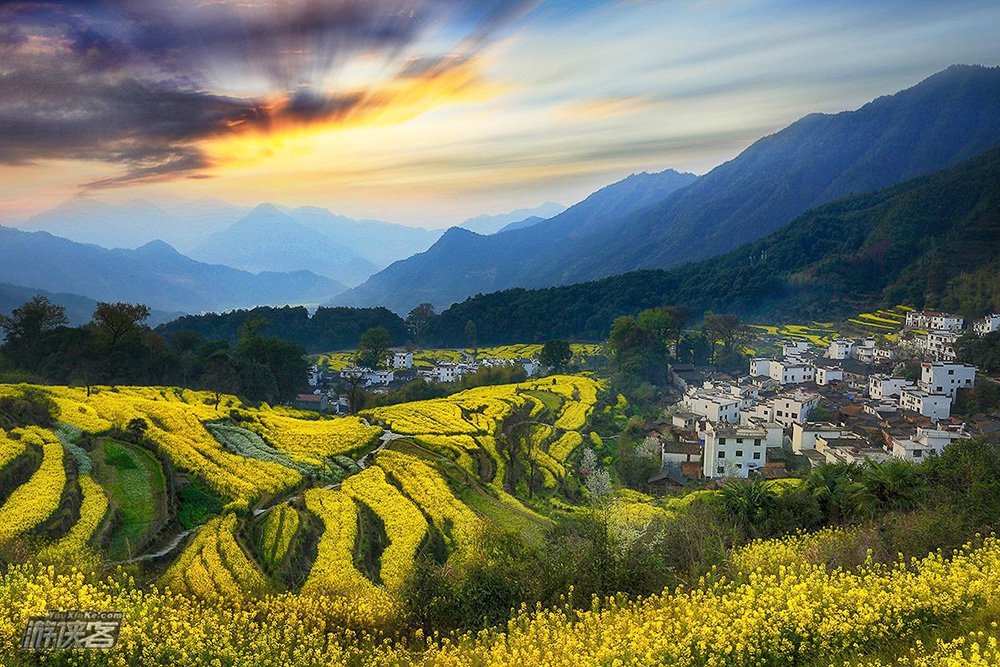 【婺源全景春摄】3.15-18/3.22-25 深入中国最美乡村,江岭篁岭梯田花海-查平坦晨景-月亮湾渔火-甲路伞厂4日婺源环线深度摄影创作团