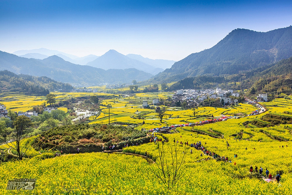 【婺源全景春摄】3.15-18/3.22-25 深入中国最美乡村,江岭篁岭梯田花海-查平坦晨景-月亮湾渔火-甲路伞厂4日婺源环线深度摄影创作团