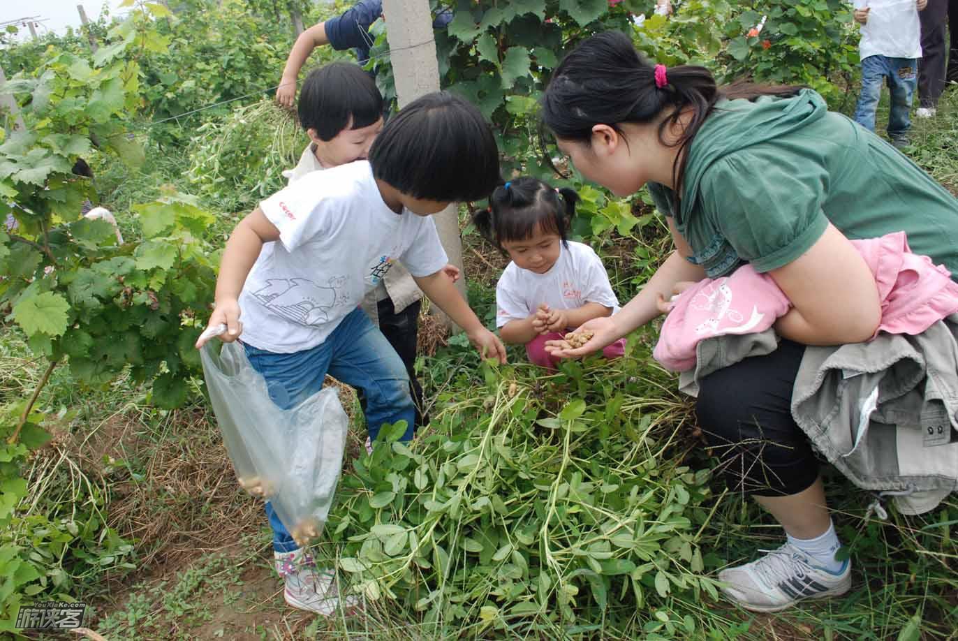 【游侠宝贝·部落之战】5.25周六,小小原始人部落,野外生存特训营,部落鼓乐表演,奇幻森林冒险,学习钻木取火,自力寻觅食材,抢占领地战争!