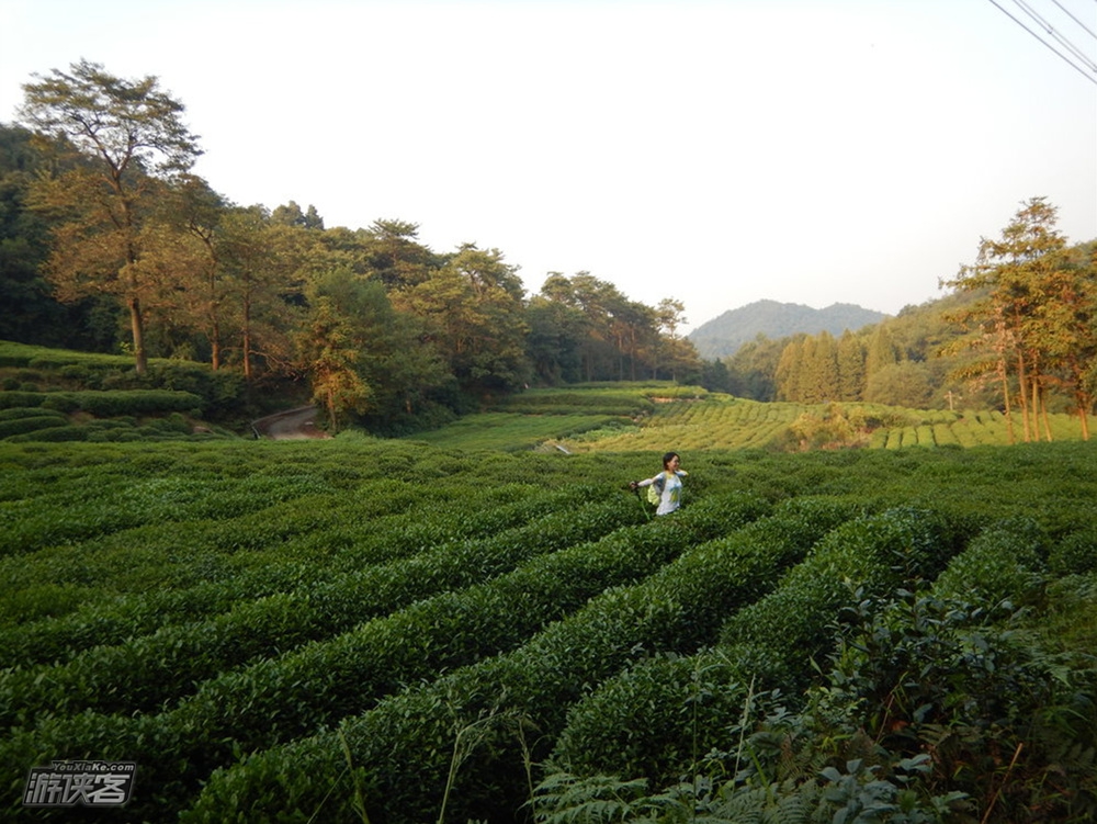 【龙坞古道】1.15周日,行走山脊,聆听野山的呼唤;徒步龙坞,探秘杭城仅存古道 (特价!特价!确定成行!)
