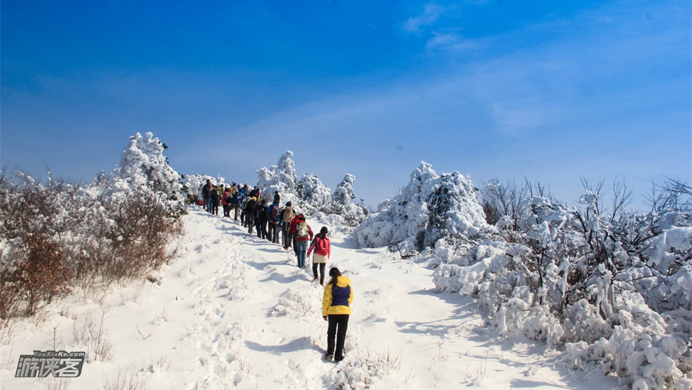 【冰雪七尖·仙人顶】踏雪末班车,冰雪七尖系列—西天目仙人顶!海拔1500米之巅,高山云海冰雪雾凇世界,踏雪天龙古道,登顶西天目主峰——仙人顶(周边去看雪)