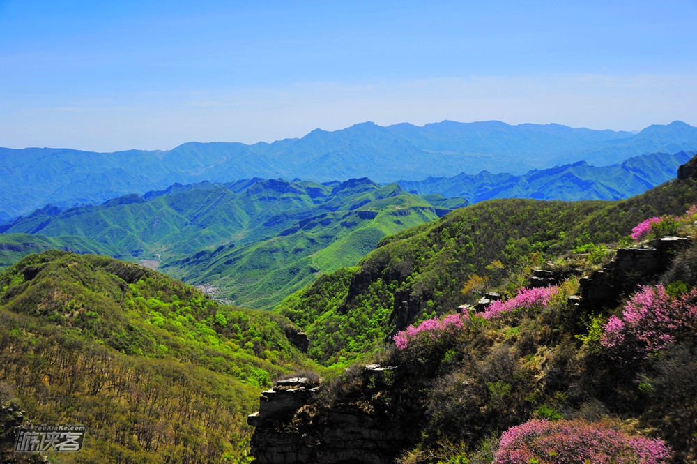 【名山·黄草梁】6.10周六 蓝天绿野山色俏 红花空濛黄草梁健身步道一日游