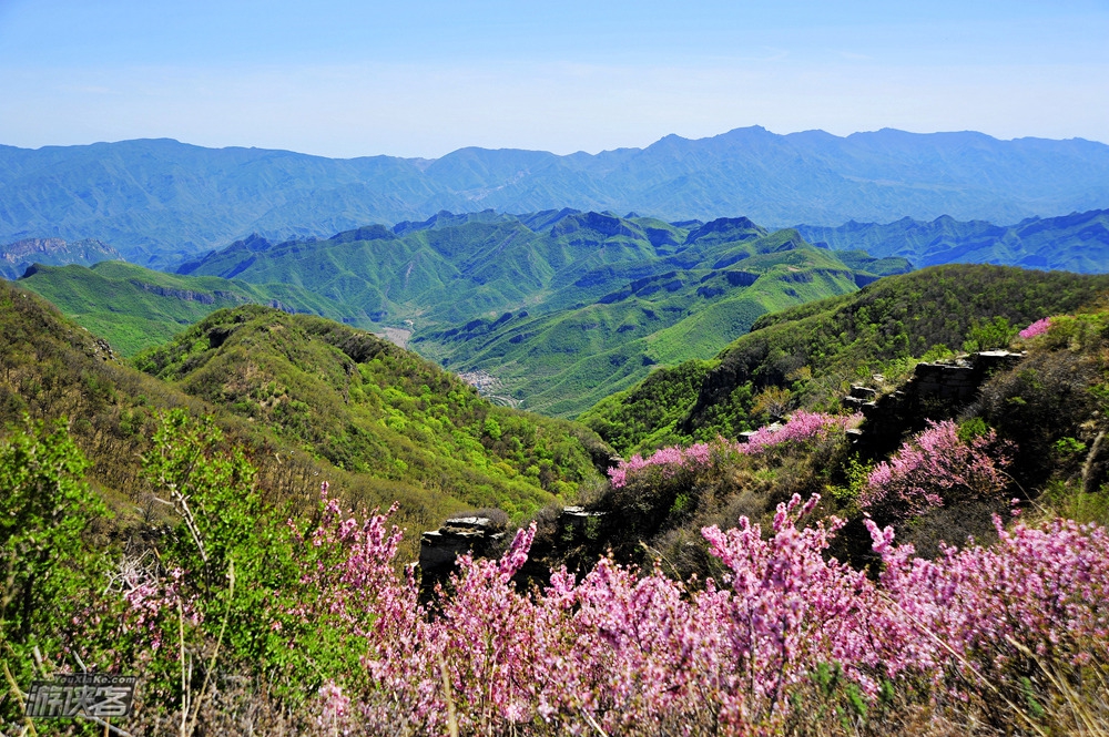 【名山·黄草梁】6.10周六 蓝天绿野山色俏 红花空濛黄草梁健身步道一日游