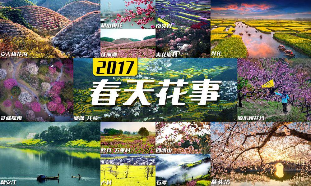 【四明山樱花】4.15-16“做一回山里人，石墙青瓦不喧哗”，茅镬到杖锡，赏四明山樱花雨，春戏仰天湖-鹁鸪岩环线（万亩樱花盛开时） - <四明山>走进四明山脉核心地区，私享春日里的姹紫嫣红