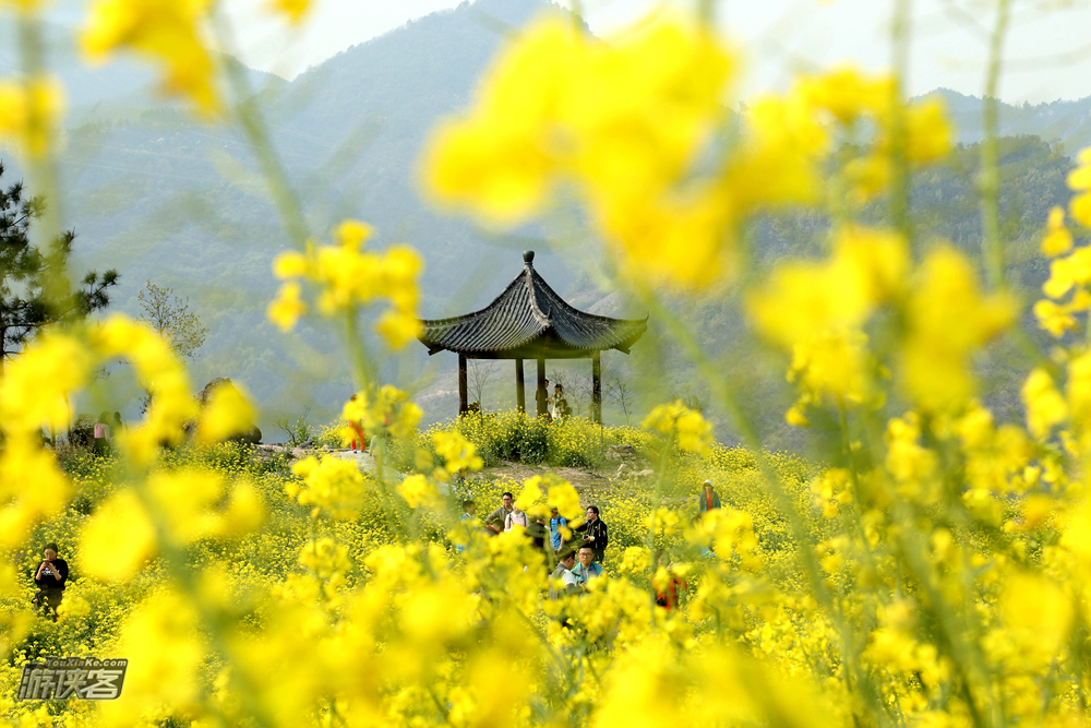 【源东桃花】4.4-5，春风十里，桃花盛开，徒步金华转轮岩，漫步十里紫荆花大道，赏源东万亩桃花坞（此行有大景，吐血超值推荐）！