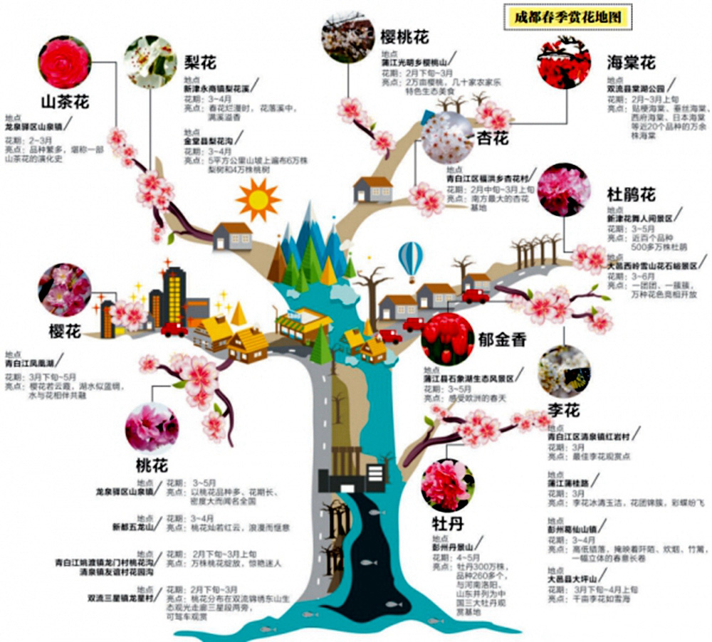 【春天花事】2.25周六 漫步芦沟竹海林间小路 观赏中国十大名花之山茶花 单日徒步踏青赏花之旅！ - 万亩竹海、千亩山茶，留下春天温馨记忆！