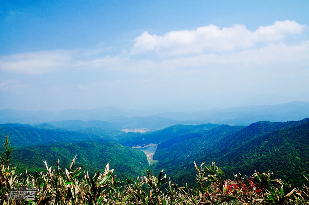 【通天蜡烛】4.9周日：漫山红透杜鹃花海，登从化通天蜡烛，无限风光在险峰（最佳花期）