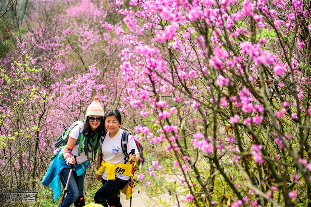 2-3,徒步金华转轮岩十里紫荆花大道,赏源东万亩桃花坞(此行有大景