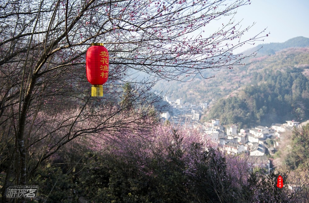 【惊艳徽梅·卖花渔村】2-3月，徒步徽州梅花仙境-卖花渔村，从山水画廊新安江出发，一路感受古徽州如痴如醉镜花水月般的早春（只卖花嘞不打渔)