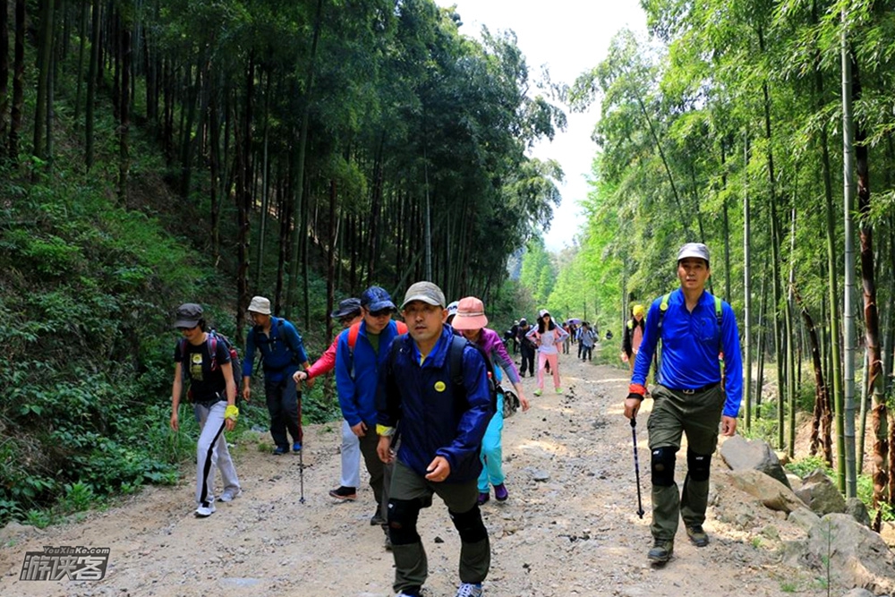 【映山红大道】5.13周六,登杭州城区十大山峰之一鸬鸟山,穿青翠竹海、赏漫山杜鹃(单日绝佳赏花徒步线)