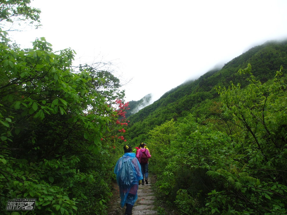 【高山杜鹃】5.5-7,轻装穿越浙西三尖精华段,醉卧绚丽杜鹃湖 (独家线路,周五晚出发)