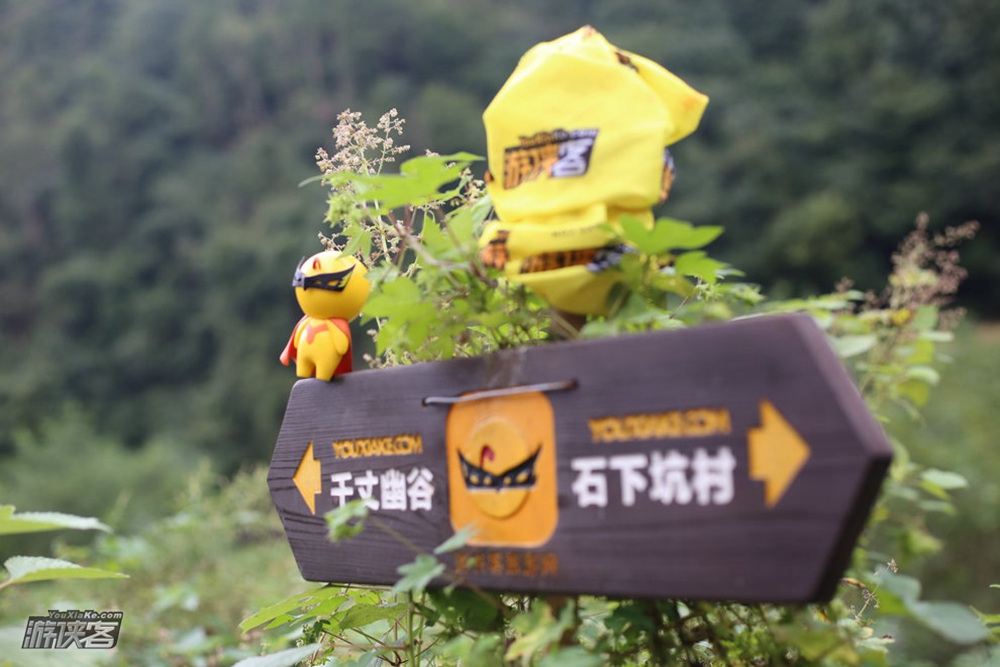 【百里丹霞-探秘千丈幽谷】徒步新昌百里丹霞 古道精华段绿野仙踪，隐秘倒脱靴，寻找江南欧米伽大拐弯