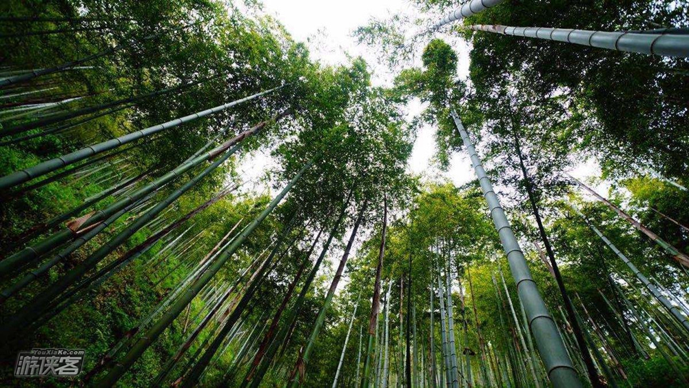 【特惠.杭宣古道】9.10周日,寻幽杭宣古道独松关(宋江Vs方腊古战场),探访千年古刹釜托禅寺!
