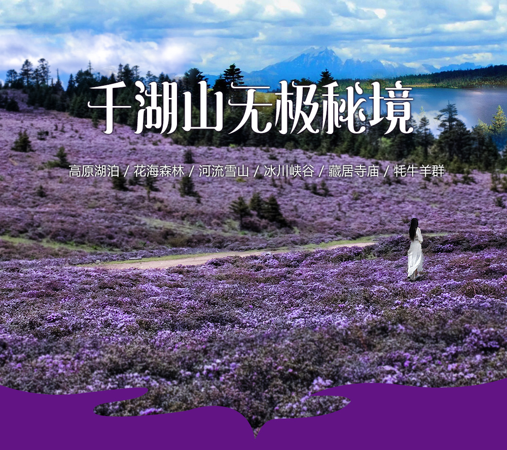【千湖山秘境-深度】5-6月 丽江古城-花海子-虎跳峡-香格里拉-梅里雪山-千湖山碧沽天池无人区，杜鹃花海7日深度游！（所有批次成行） - 游侠客独家策划的千湖山秘境花海线路！（保护区，全年也仅仅只有1000人允许进入）