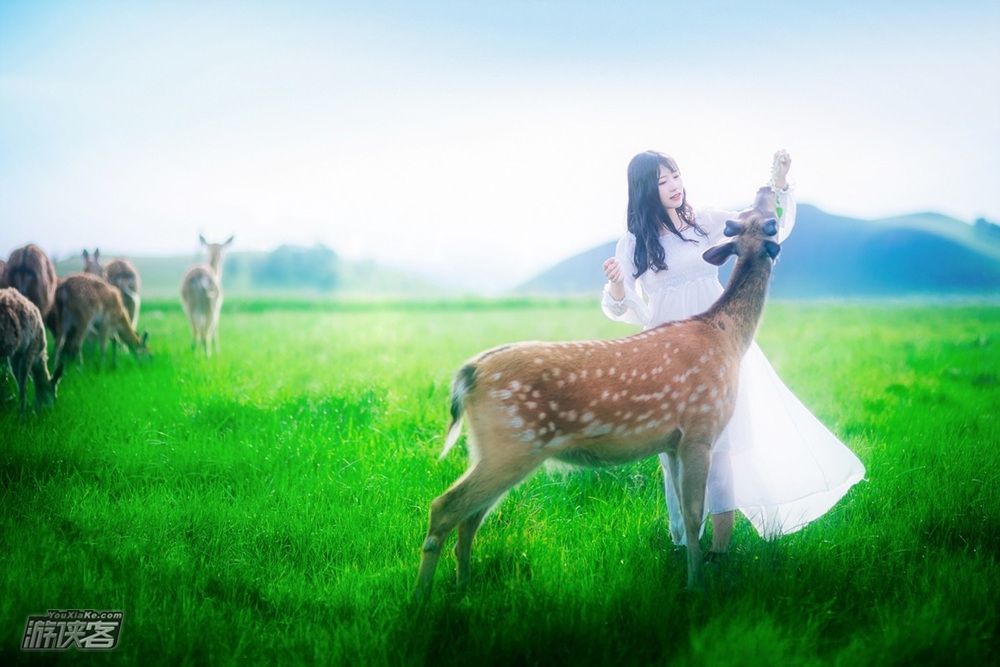 【坝上草原C线】6-8月 承德避暑山庄-坝上草原