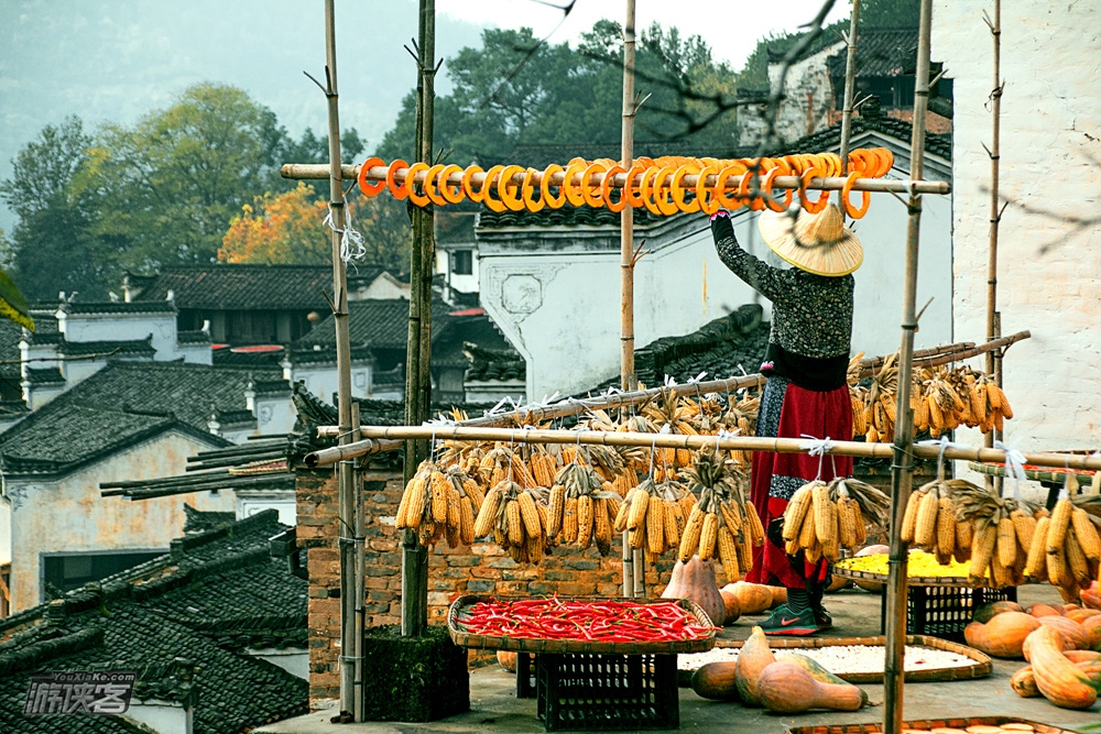 【婺源秋色】11.30-12.2,篁岭晒秋-石城红枫迷雾-最圆村落菊径-秀美月亮湾,婺源全景,秋色精华梦幻2日休闲游(周五晚出发,无需徒步,本年度最后一批,错过等明年~)