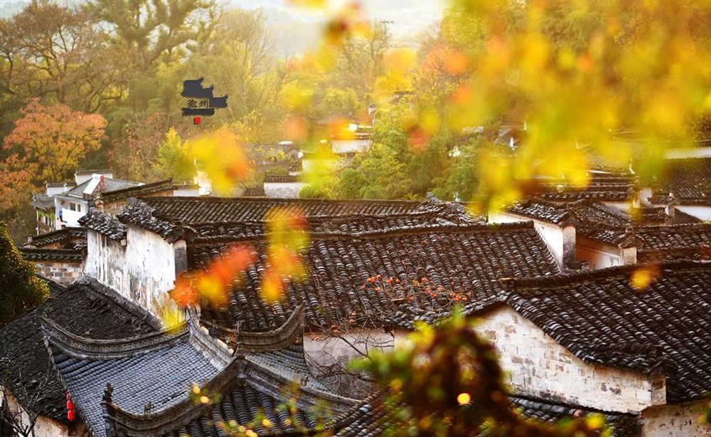 【江南秋摄B线】11月,黄山云海-宏村塔川-婺源石城-篁岭晒秋-长溪秋色,22年全面升级,江南三大秋色一网打尽,6日摄影采风创作团!