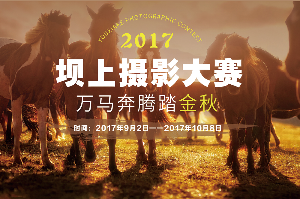 【坝上秋摄全景风光+仙境雾灵山】9-10月 金秋坝上五彩风光-全新万马奔腾-马踏水花日落驼影-雾灵山晨雾摄影 七日风光创作团（2017全新升级数量约300匹场景万马奔腾） - 游侠客坝上牧歌酒店大厅摄影展，专业摄影指导，独家设计日出日落点，羊群牧归日落驼影万马奔腾全景坝上秋季风光一网打尽。