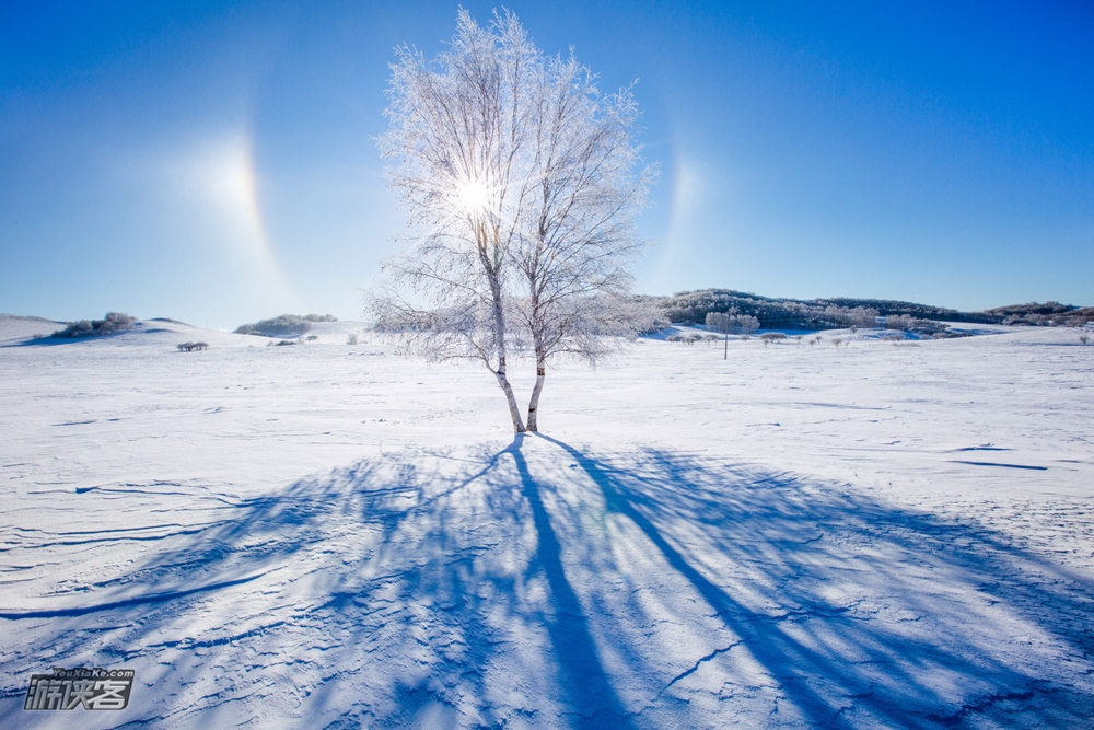 【冰雪坝上】1-2月 跨年大狂欢 坝上雪原寻觅童真记忆,乌兰布统感受冬日童话 六日游(特别赠送“东方雪源圣地”滑雪体验)