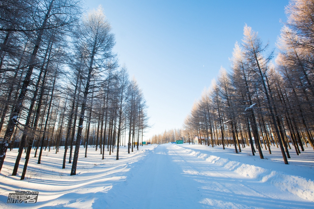 【冰雪坝上】1-2月 跨年大狂欢 坝上雪原寻觅童真记忆,乌兰布统感受冬日童话 六日游(特别赠送“东方雪源圣地”滑雪体验)