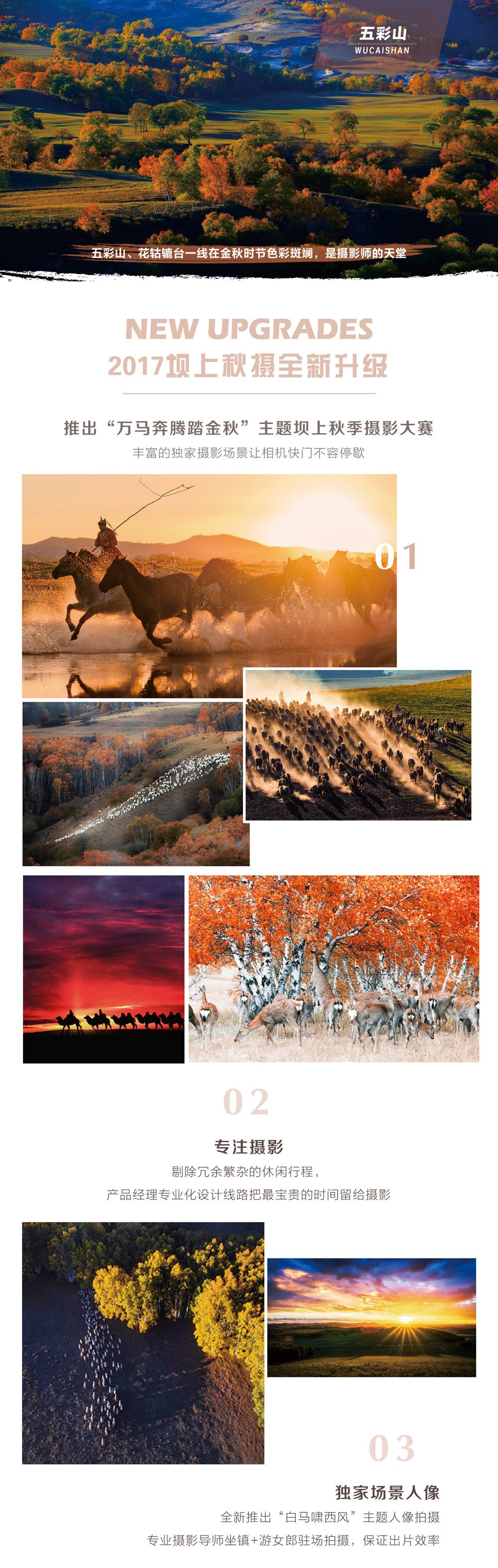 【坝上秋摄全景风光+仙境雾灵山】9-10月 金秋坝上五彩风光-全新万马奔腾-马踏水花日落驼影-雾灵山晨雾摄影 七日风光创作团（2017全新升级数量约300匹场景万马奔腾） - 游侠客坝上牧歌酒店大厅摄影展，专业摄影指导，独家设计日出日落点，羊群牧归日落驼影万马奔腾全景坝上秋季风光一网打尽。