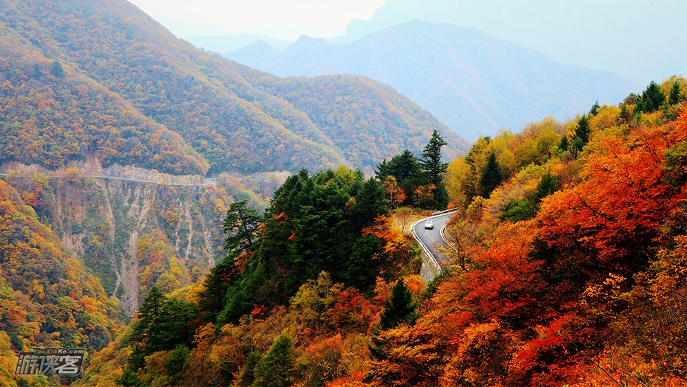 【神农秋摄】2017 10月 神农架秘境秋色--梦幻大九湖--三峡纤夫--原生态金丝猴6日摄影创作团