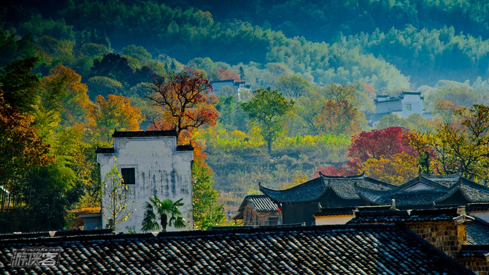 黄山秋色·皖南赏秋小车团3日游