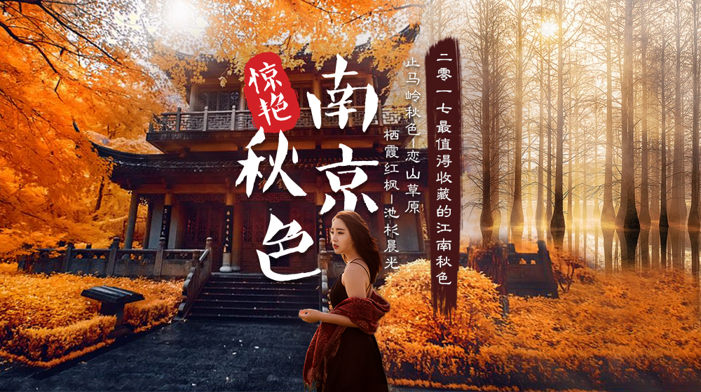 【秋色·止马岭】12.8-9，确定成行，赏南京栖霞山红枫银杏-止马岭晨光-漫步秋色童话长廊-恋山草原，一网打尽南京城被隐秘的惊艳秋色（2日休闲游，南京高铁集合） - <南京秋色>南京的秋色大道，四大赏枫圣地栖霞山，梦幻止马岭晨光池杉，金秋恋山草原阳光