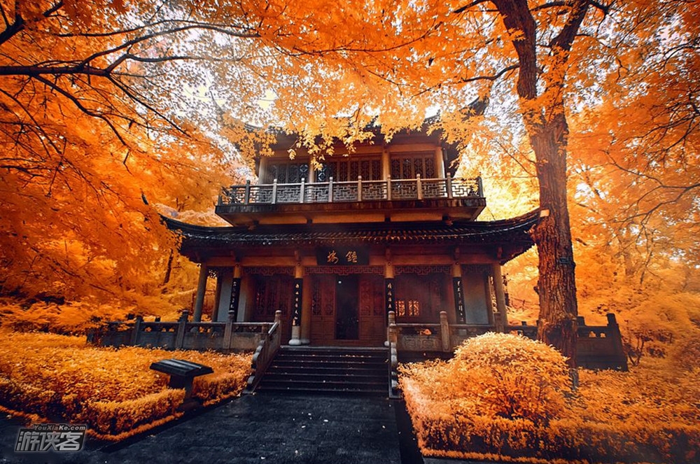 【秋色·止马岭】12.8-9,确定成行,赏南京栖霞山红枫银杏-止马岭晨光-漫步秋色童话长廊-恋山草原,一网打尽南京城被隐秘的惊艳秋色(2日休闲游,南京高铁集合)