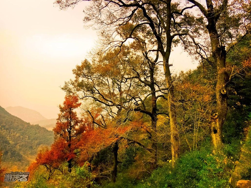 【秋色·陶宴岭】11月，徒步绍兴陶宴岭古道，看红枫飘落，古道、竹林，真假兰若寺