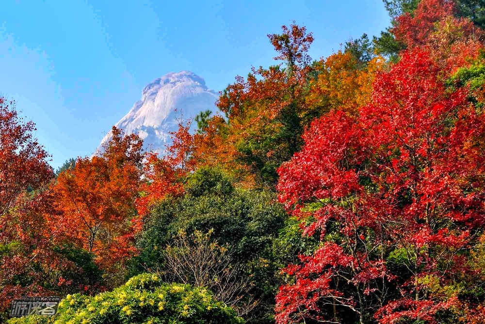 【秋染云髻山】12.16周六:云端发髻理红妆,穿越枫叶丛林,拿下油画里的山巅