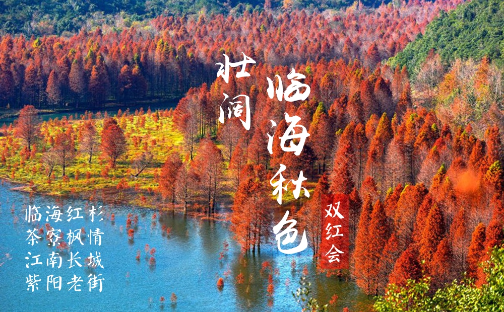 杉枫点火·临海秋韵｜小芝红杉，茶辽红枫，朱叶流丹 - 2日新手挑战线｜探访江南喀纳斯 | 临海秋色一网打尽，红杉+红枫，沉浸体验｜一线穿越临海小芝红杉林，茶寮红枫古道