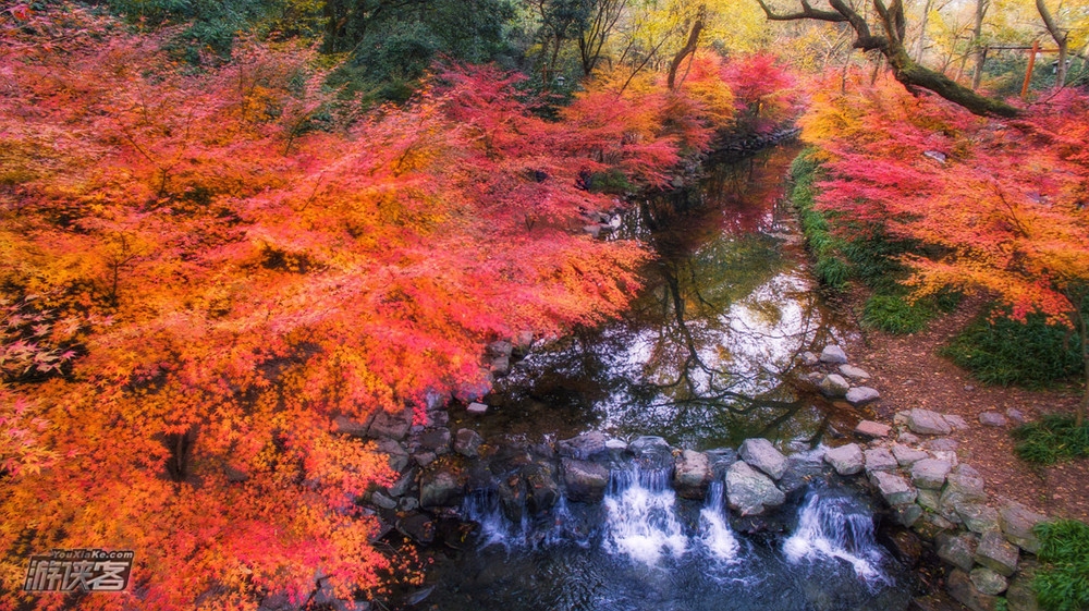 【特惠·西湖秋色】12.3周日,从九溪到茅家埠,徒步乾隆古道,龙井问茶,探杭城湖光秋色(单日休闲)