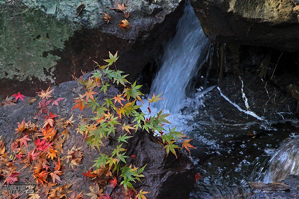 【特惠·西湖秋色】12.3周日,从九溪到茅家埠,徒步乾隆古道,龙井问茶,探杭城湖光秋色(单日休闲)