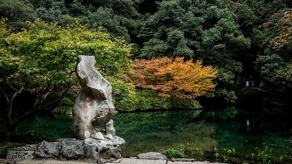【特惠·西湖秋色】12.3周日,从九溪到茅家埠,徒步乾隆古道,龙井问茶,探杭城湖光秋色(单日休闲)
