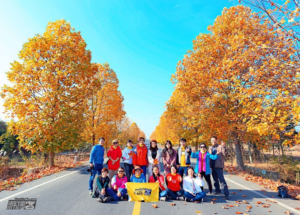 【秋色·止马岭】12.8-9,确定成行,赏南京栖霞山红枫银杏-止马岭晨光-漫步秋色童话长廊-恋山草原,一网打尽南京城被隐秘的惊艳秋色(2日休闲游,南京高铁集合)