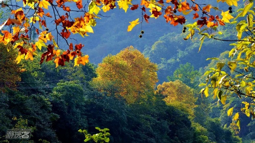 【秋色环线·大坪村】11.18周日确定成行! 逃开城市的喧嚣,走向山野,赏小丹巴世外桃源般的秋色,8公里秋色环线(秋色轻户外)