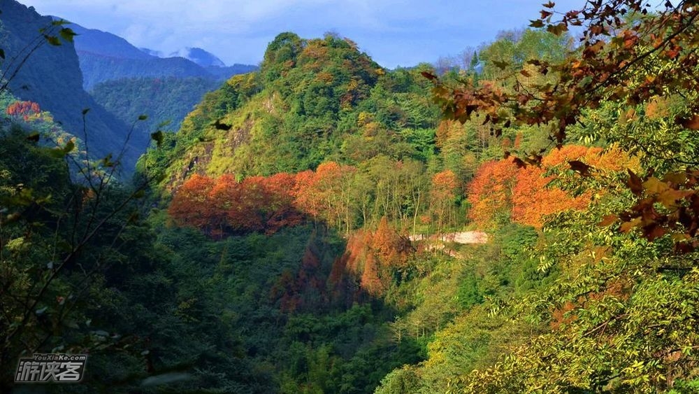 【秋色环线·大坪村】11.18周日确定成行! 逃开城市的喧嚣,走向山野,赏小丹巴世外桃源般的秋色,8公里秋色环线(秋色轻户外)