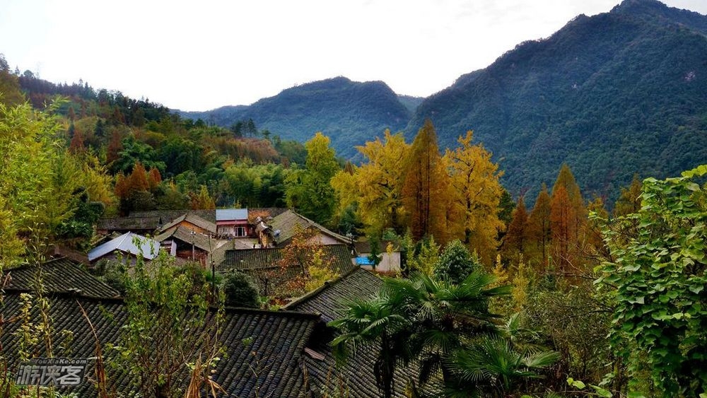 【秋色环线·大坪村】11.18周日确定成行! 逃开城市的喧嚣,走向山野,赏小丹巴世外桃源般的秋色,8公里秋色环线(秋色轻户外)