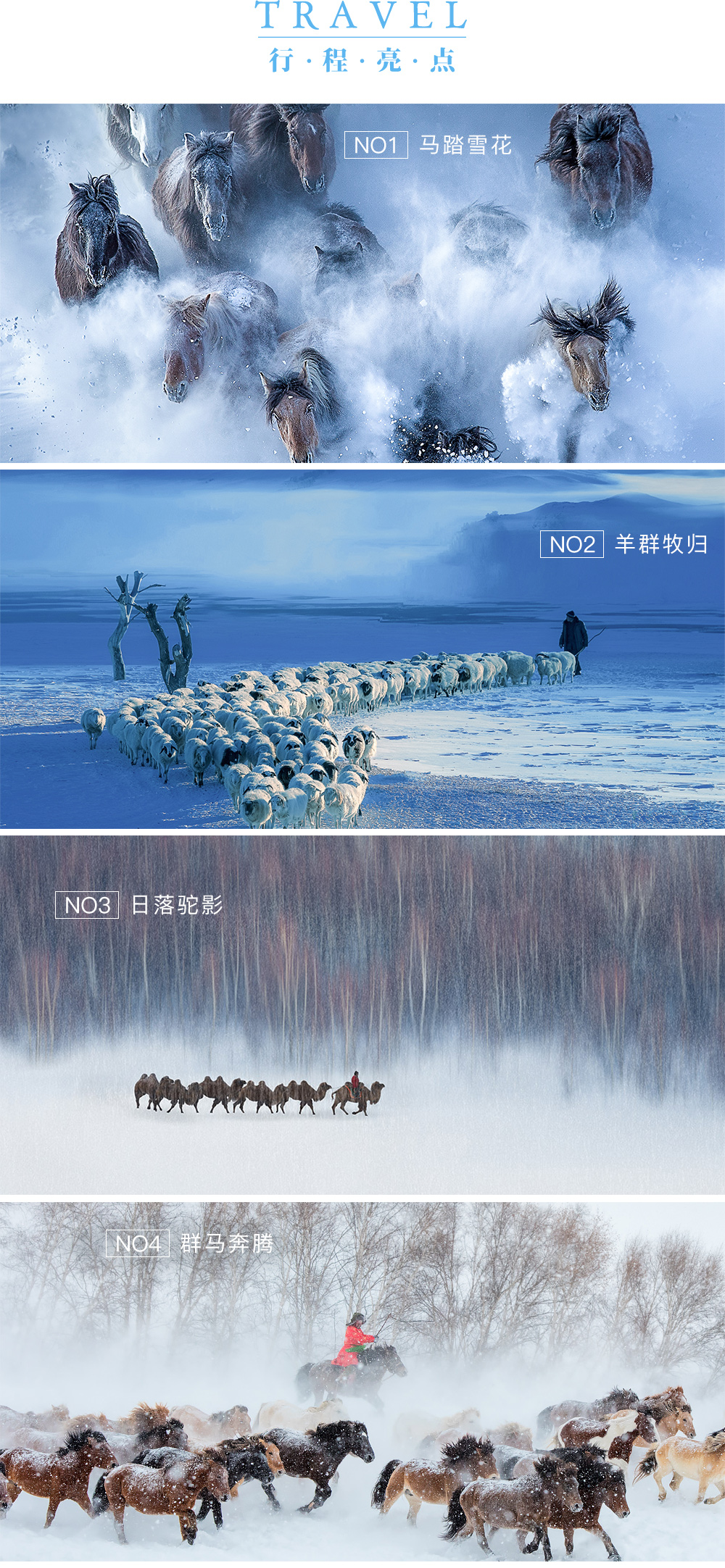 【坝上冬牧.雪原摄影】1-2月 内蒙坝上雪原-马踏飞雪-日落驼影-牧归场景-暖水魔界日出-蛤蟆坝光影  六日坝上冬摄创作团（2018全新升级坝上冬摄，新增马踏飞雪场景) - 坝上全景摄影：辽阔雪原、冰凌雪松、寂寥牧村、魔界日出，全新升级落日驼影、群马奔腾、牛羊牧归