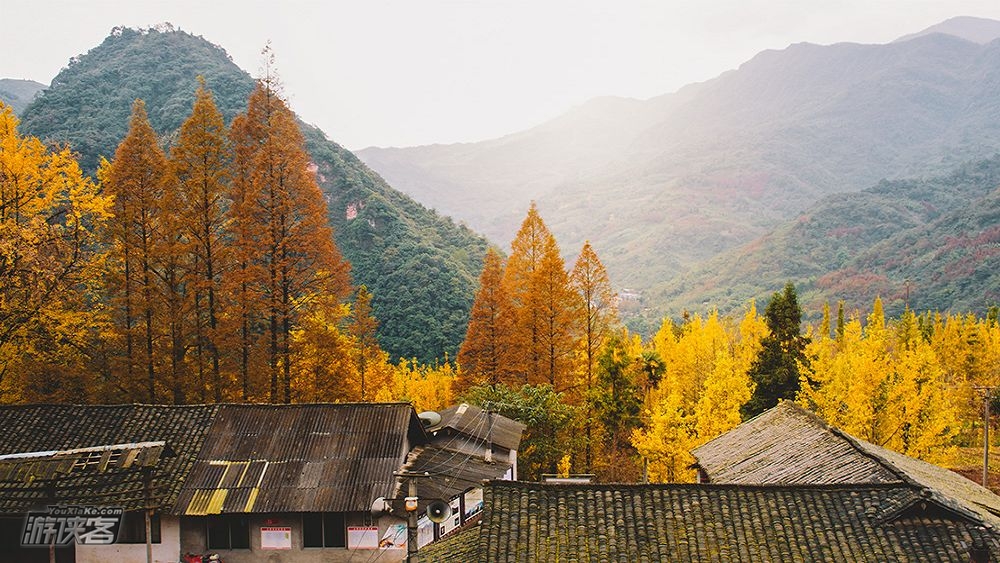 【秋色环线·大坪村】11.18周日确定成行! 逃开城市的喧嚣,走向山野,赏小丹巴世外桃源般的秋色,8公里秋色环线(秋色轻户外)