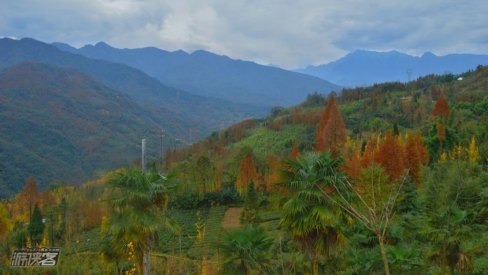 【秋色环线·大坪村】11.18周日确定成行! 逃开城市的喧嚣,走向山野,赏小丹巴世外桃源般的秋色,8公里秋色环线(秋色轻户外)
