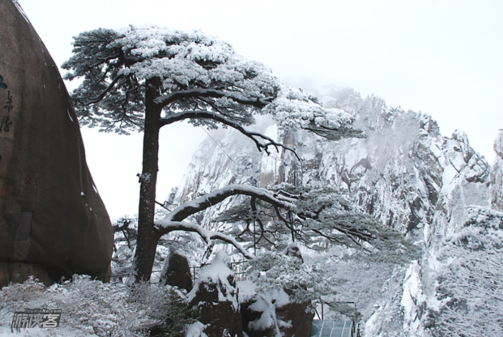 【特惠·住房车游黄山】12.31黄山将降雪,高铁直达年终回馈,小众黄山-徽派宏村,入住山脚网红房车营地,黄山含上行缆车(黄山集散,下午集合,家庭游&周末游黄山)